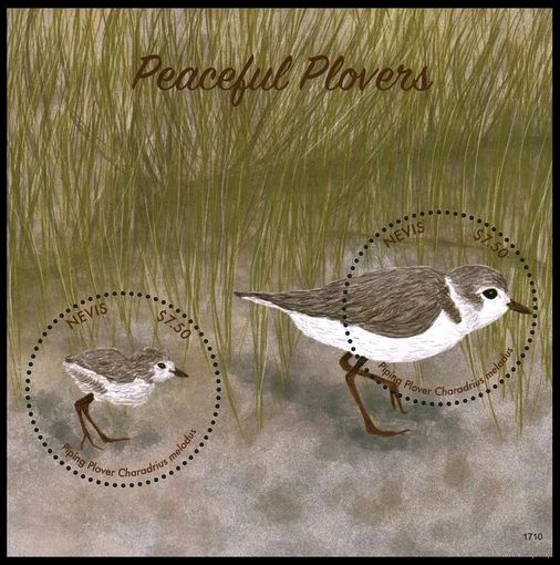 2017 Невис 3229/B396 Птицы 13,00 евро