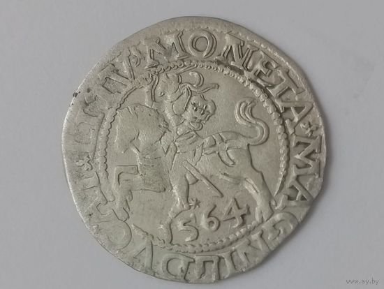 Полугрош 1564 г.