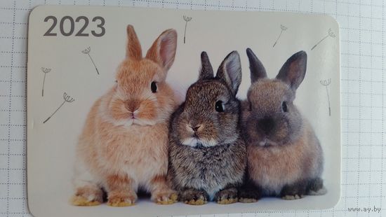 Календарик. Трио зайцев.2023