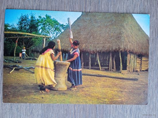 Этнография. Панама. Индейцы гуайми, очищающие рис от шелухи