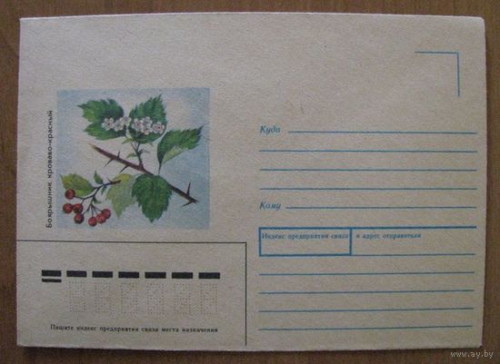 Конверт ХК СССР, Боярышник, Казакова Н. .
