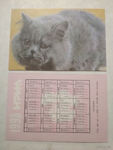 Карманный календарик. Котик.1993 год