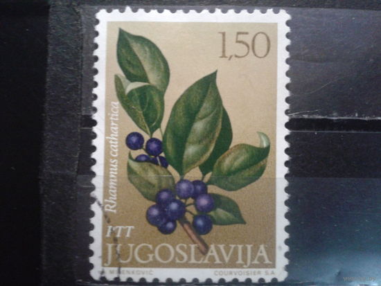 Югославия, 1971. Облепиха