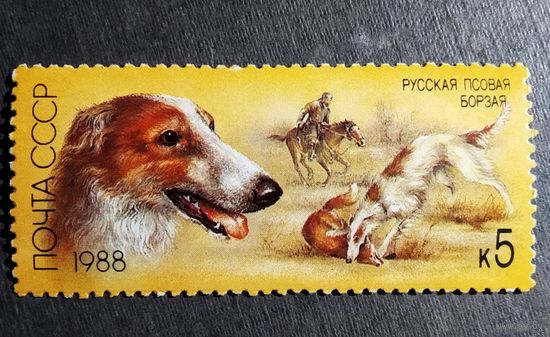 Марка СССР 1988 год Собаки