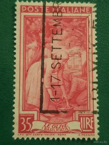 Италия 1950. Сборщица оливок