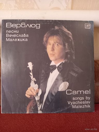 Виниловая пластинка