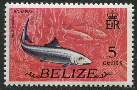 Белиз 1974 ** Рыбы марка из серии Британские колонии