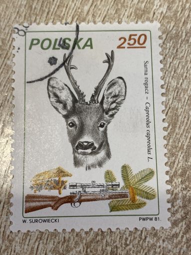 Польша 1981. Охота. Сарга рогач. Марка из серии