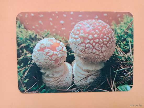 Календарик 1991