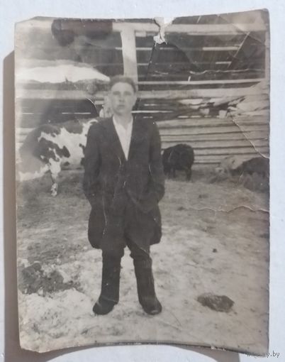 Фото ферма в коллекцию