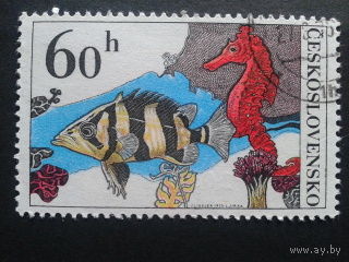Чехословакия 1975 морской конек и рыбка