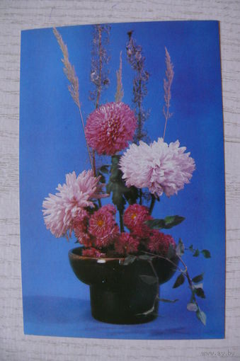 Самсоненко Н., Композиция из цветов, 1983, чистая (9*14 см).