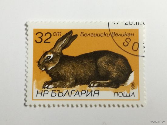 Болгария 1986. Кролики.