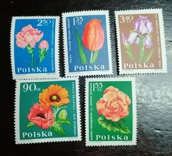 Польша 1964 Флора цветы