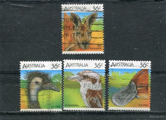Австралия. Местные виды фауны