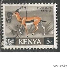 Кения. Газель. 1966г. Mi#20.