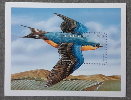 1998 Деревенская ласточка Буркина-Фасо