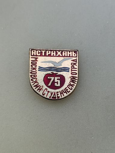 ВЛКСМ. ССО. Московский СО Астрахань 1975.