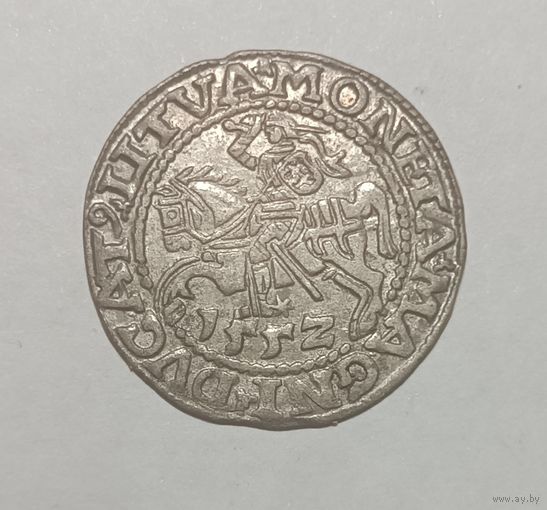Паўгрошы Жыгiмонта II. 1552, Вильно. Отличный и не частый