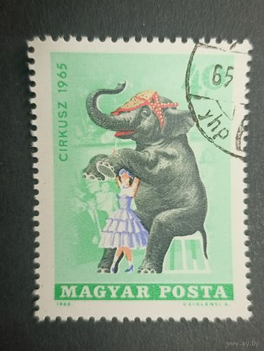 Венгрия 1965. Цирк