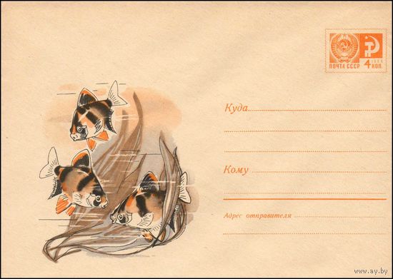 Художественный маркированный конверт СССР N 4747 (14.07.1967) Рисунок аквариумных рыбок барбусов