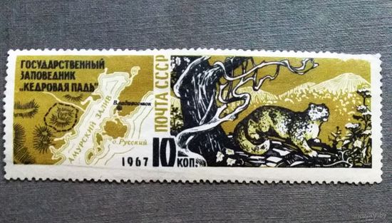 Марка СССР 1967 го Заповедник "Кедровая падь"