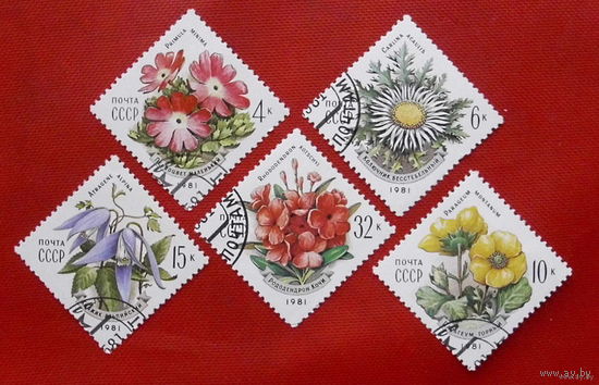 1981 СССР. Цветы Карпат. Полная серия.