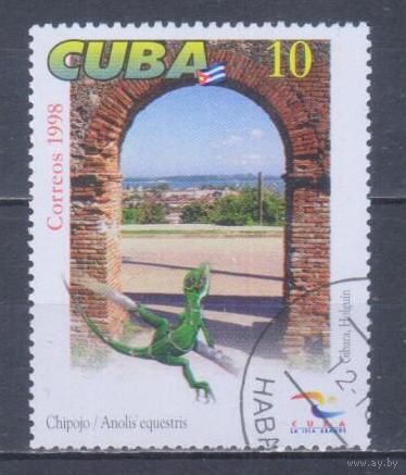 [994] Куба 1998. Фауна.Ящерица. Гашеная марка. 1