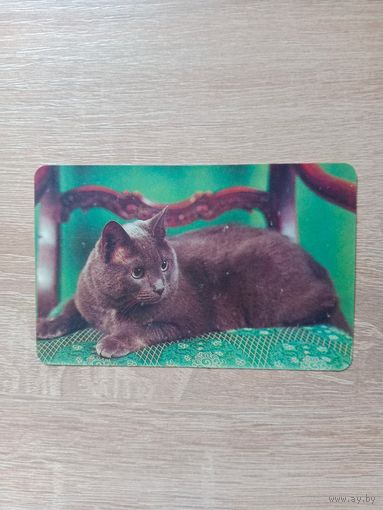 Календарик 1992