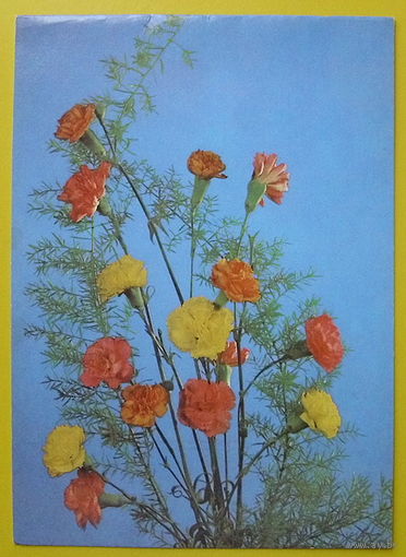 Композиция из гвоздик. Подписанная. 1988 года.