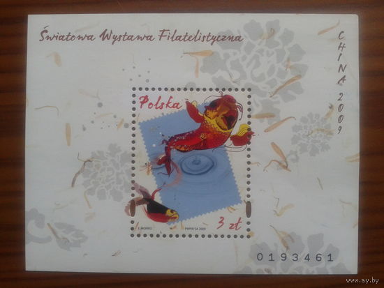 Польша 2009 фил. выставка блок