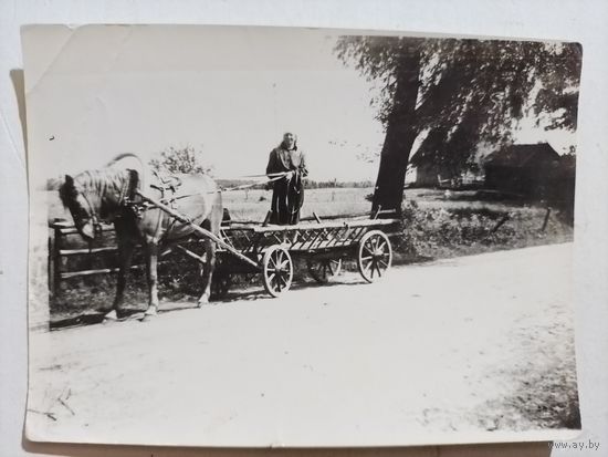 Фото деревня лошадка