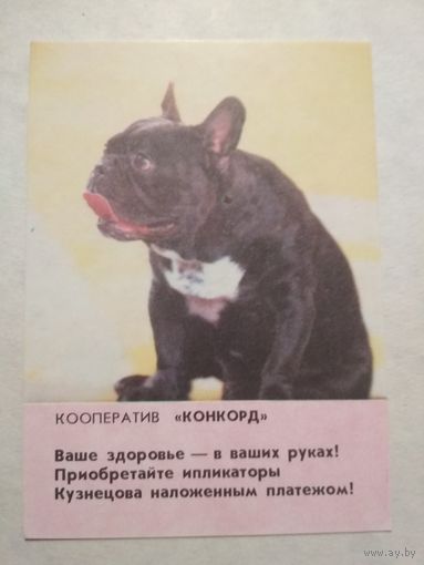 Карманный календарик. Собака. 1993 год
