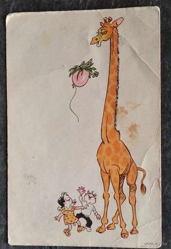 Адрианов Г. Смекалка помогла. 1967 г. Чистая
