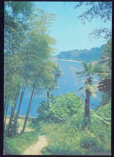 ДМПК СССР 1980 Кобулети курорт Цихисдзири