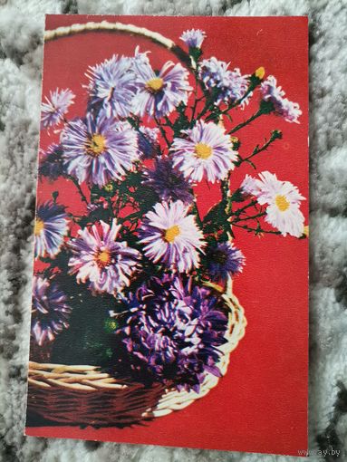 Открытка СССР 1971