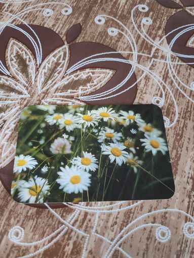 Календарик,реклама,аэрофлот,1993