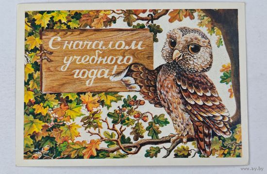 С началом учебного года  СССР