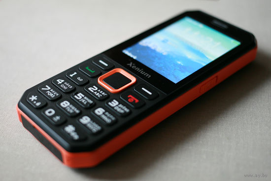 Кнопочный сотовый телефон Xenium X300