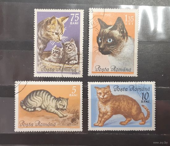 Румыния. 1965 год. Фауна. Кошки (661)