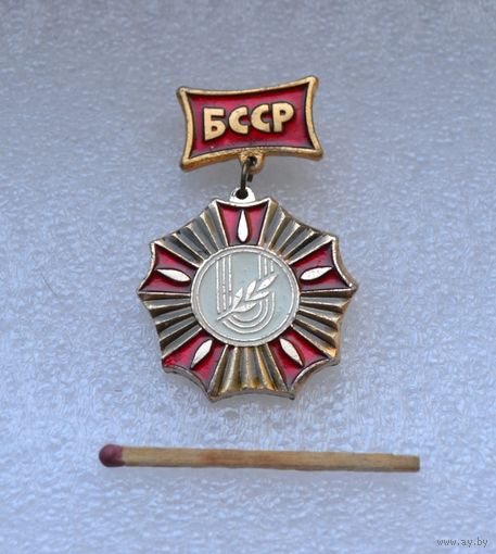 Спартакиада БССР, 1 место.