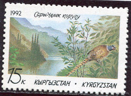 Киргизия. Фазан