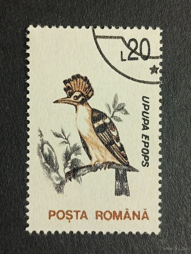 Румыния 1993. Птицы. Удод