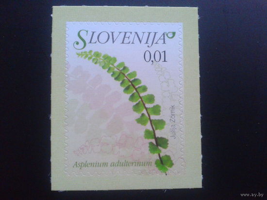 Словения 2009 стандарт, цветы