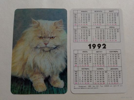 Карманный календарик. Котик.1992 год