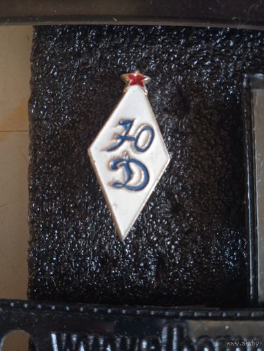 Юный динамовец