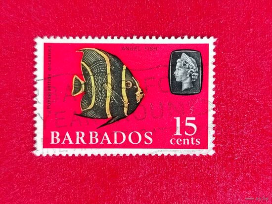 Барбадос. Рыбы. ( 1 марка ) 1965 года. 8-8.