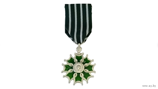 Памятная медаль Франции за искусство и литературу - иностранная награда реплика