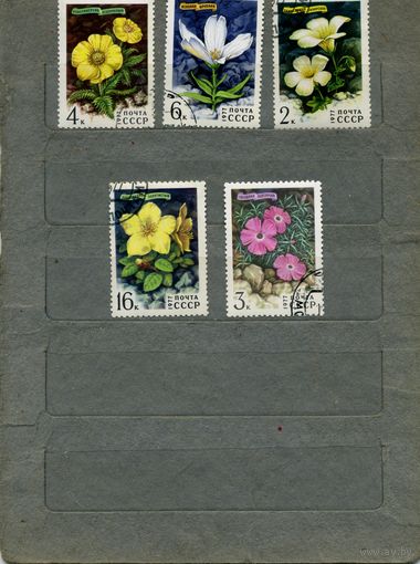 СССР, 1977 ,ЦВЕТЫ гор сибири , серия 5м