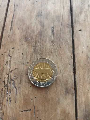 УРУГВАЙ 10 песо 2011 год( биметалл)